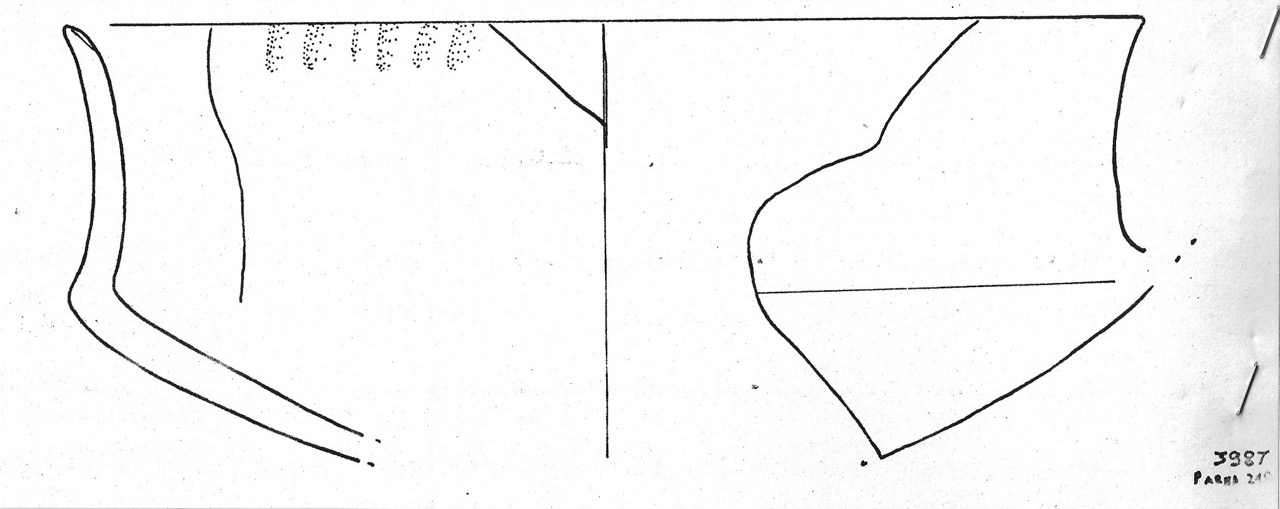 tazza - Facies Terramaricola (Età del Bronzo medio)