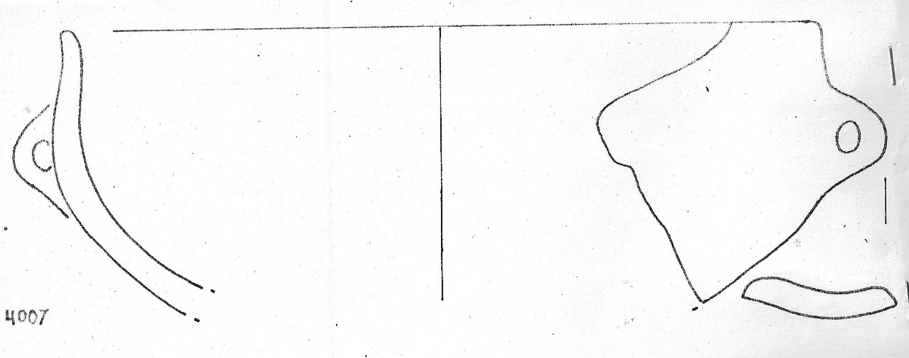 tazza - Facies Terramaricola (Età del Bronzo medio)