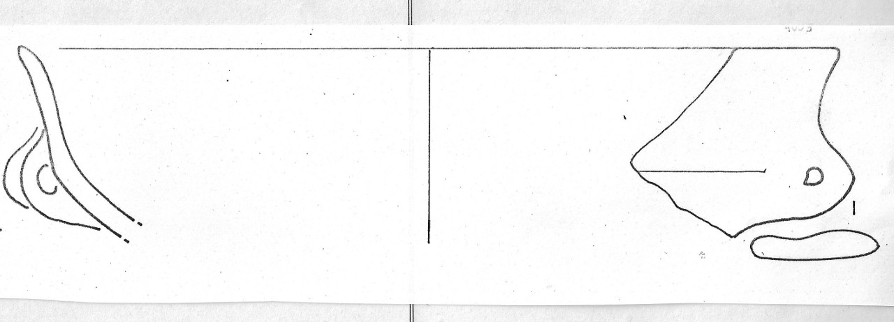 tazza - Facies Terramaricola (Età del Bronzo medio)