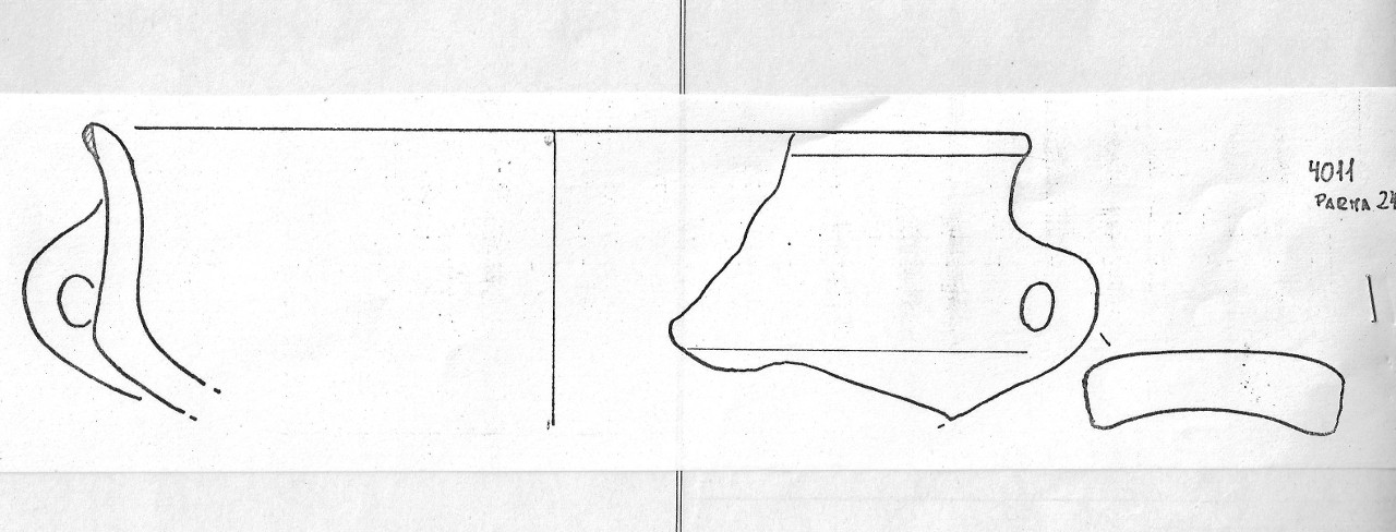 tazza - Facies Terramaricola (Età del Bronzo medio)