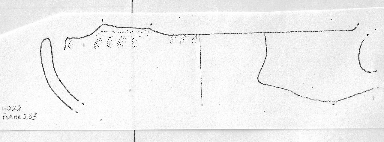 tazza - Facies Terramaricola (Età del Bronzo medio)