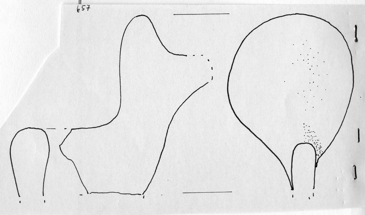 tazza/ ansa - Facies Terramara (Tardo Minoico II)