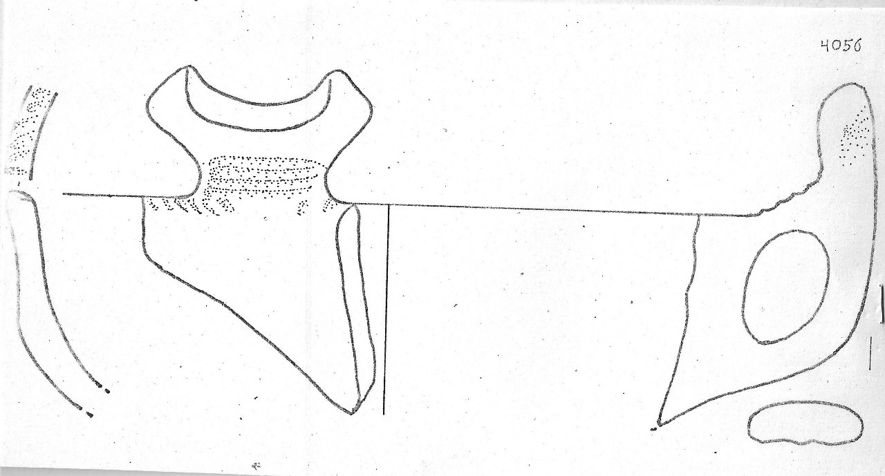tazza - Facies Terramaricola (Età del Bronzo medio)