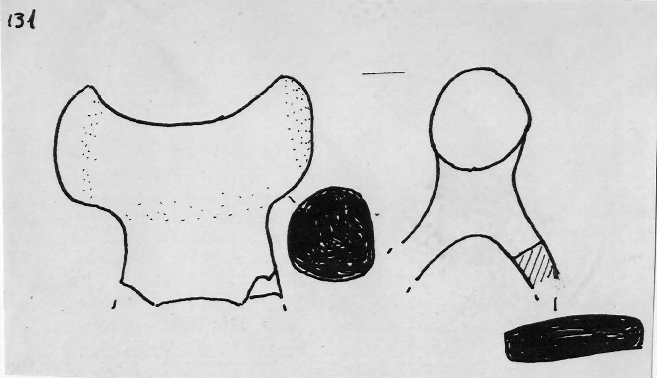 ansa - Facies Terramaricola (Età del bronzo)