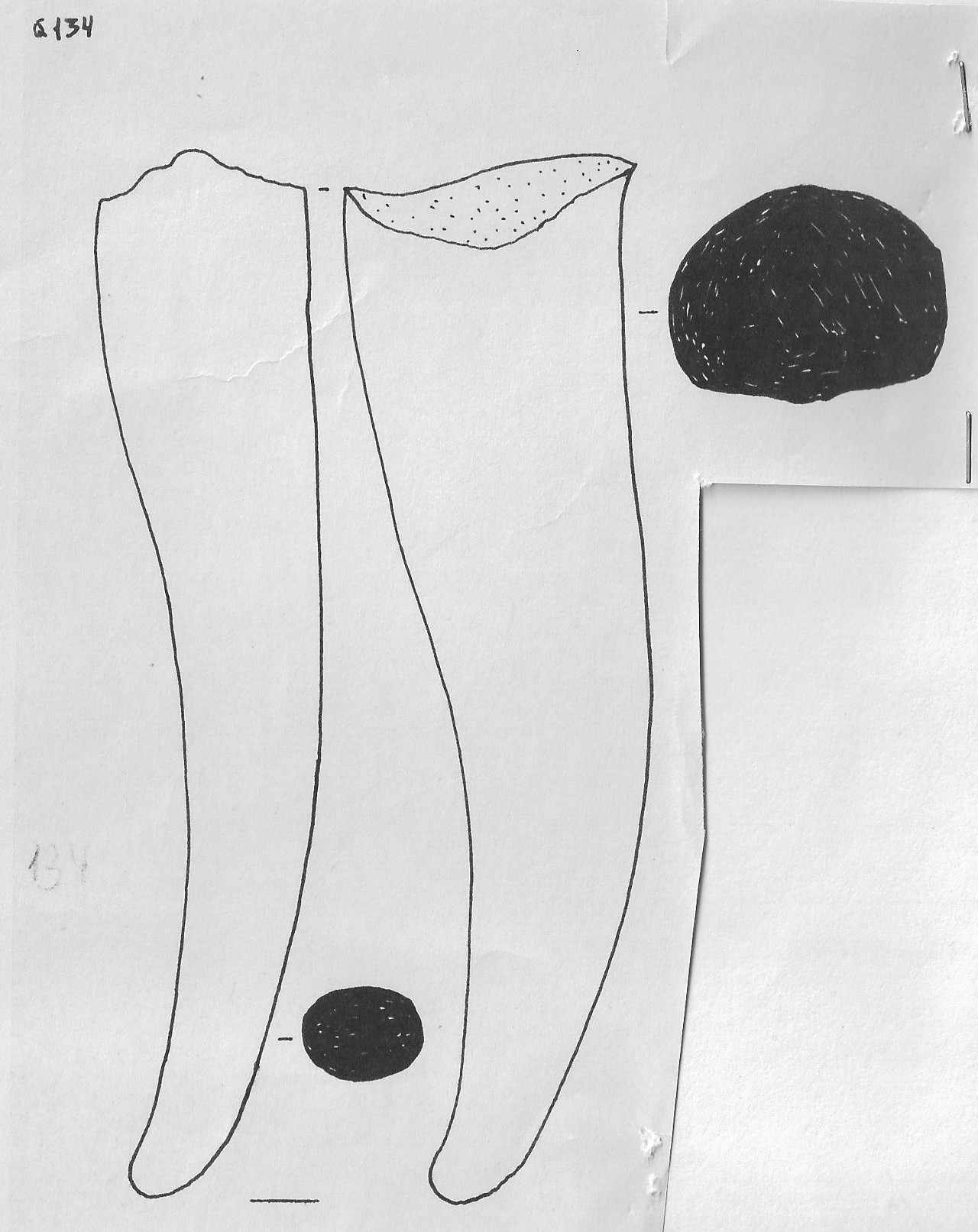 punteruolo - Facies Terramaricola (Età del bronzo)