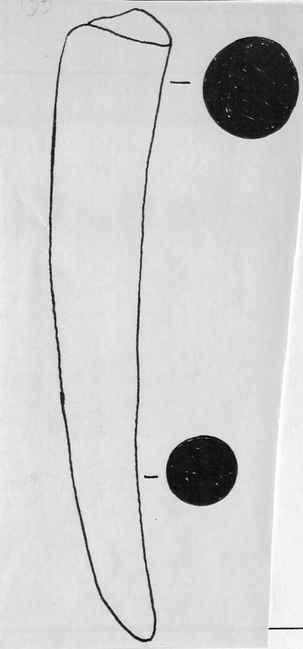 punteruolo - Facies Terramaricola (Età del bronzo)