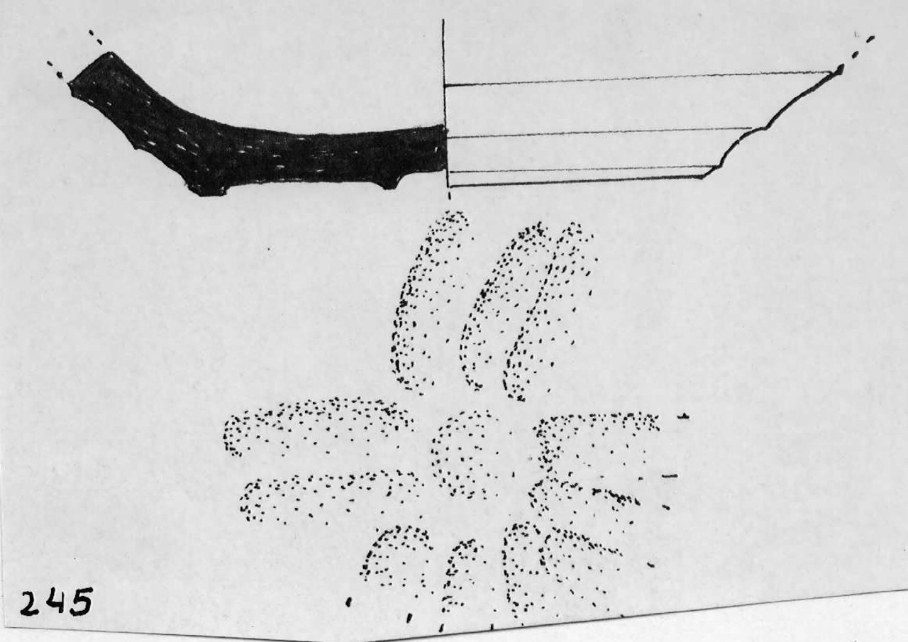 tazza - Facies Terramaricola (Età del bronzo)