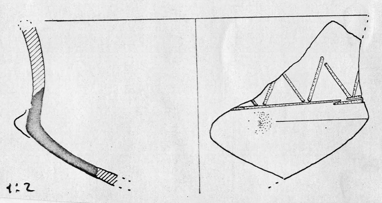 ciotola - Facies Terramara (Età del bronzo)