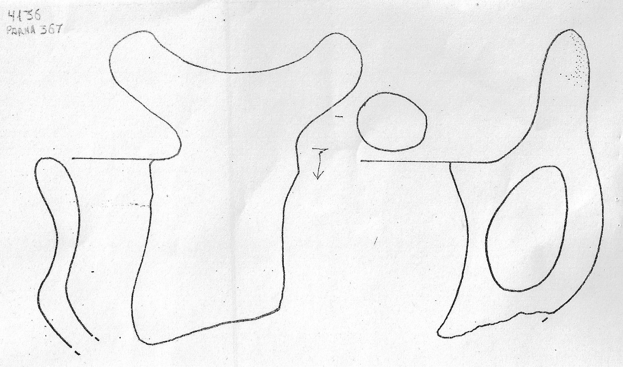 tazza - Facies Terramaricola (Età del Bronzo medio-tardo)