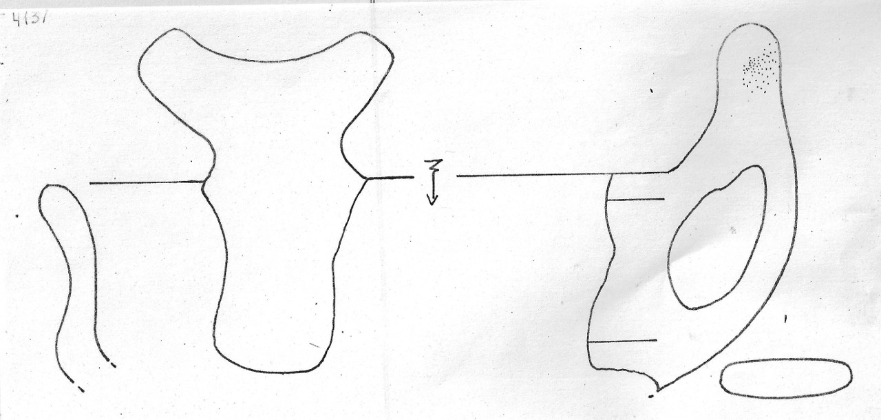 tazza - Facies Terramaricola (Età del Bronzo medio-tardo)