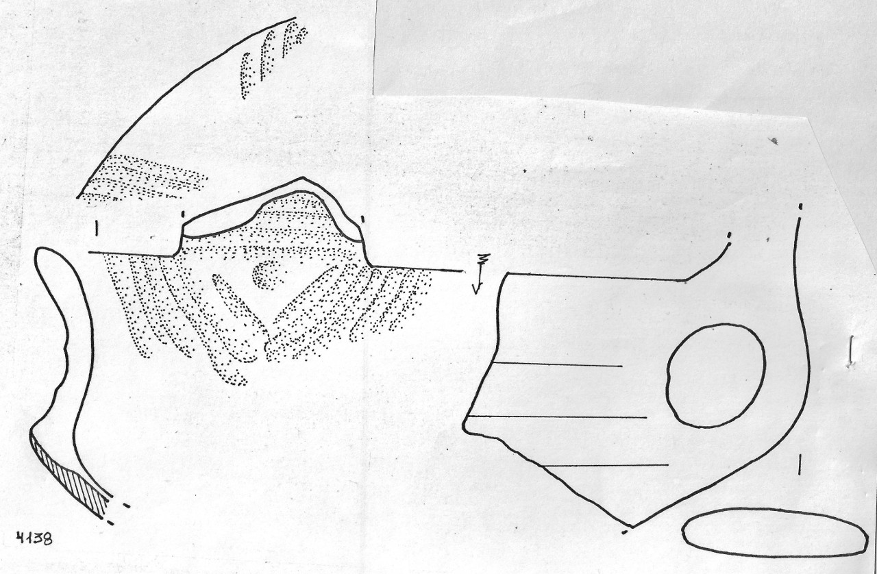 tazza - Facies Terramaricola (Età del Bronzo medio)