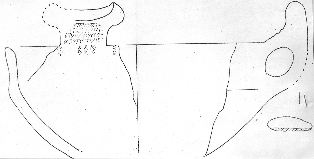 tazza - Facies Terramaricola (Età del Bronzo medio-tardo)