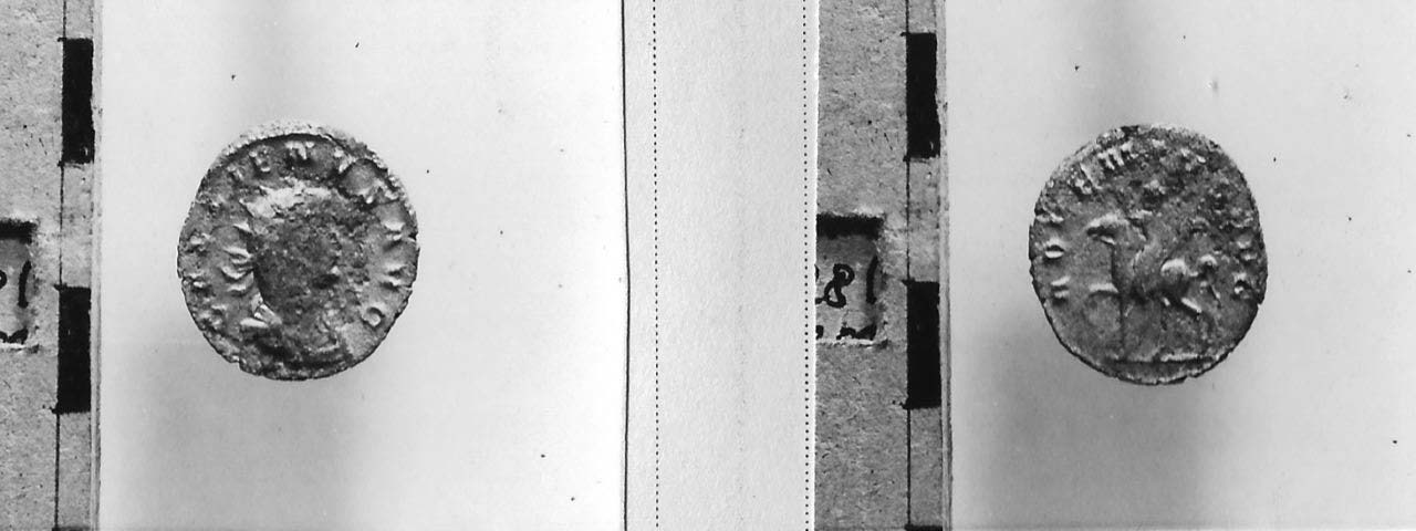 moneta - Antoniniano (III sec. d.C)