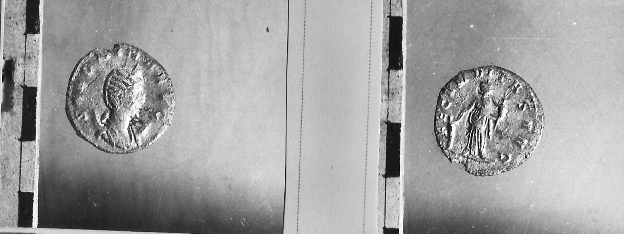 moneta - Antoniniano (III sec. d.C)