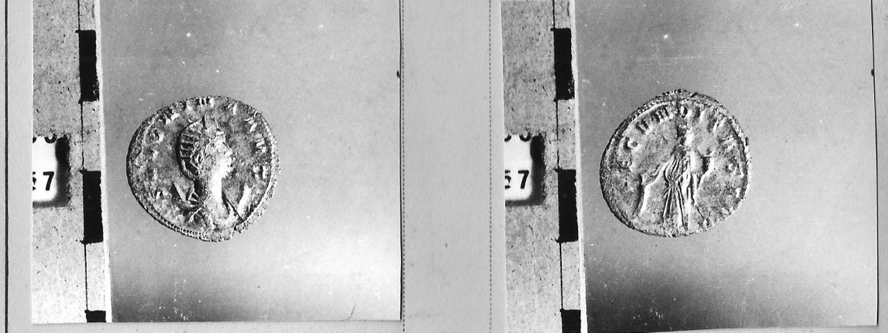 moneta - Antoniniano (III sec. d.C)