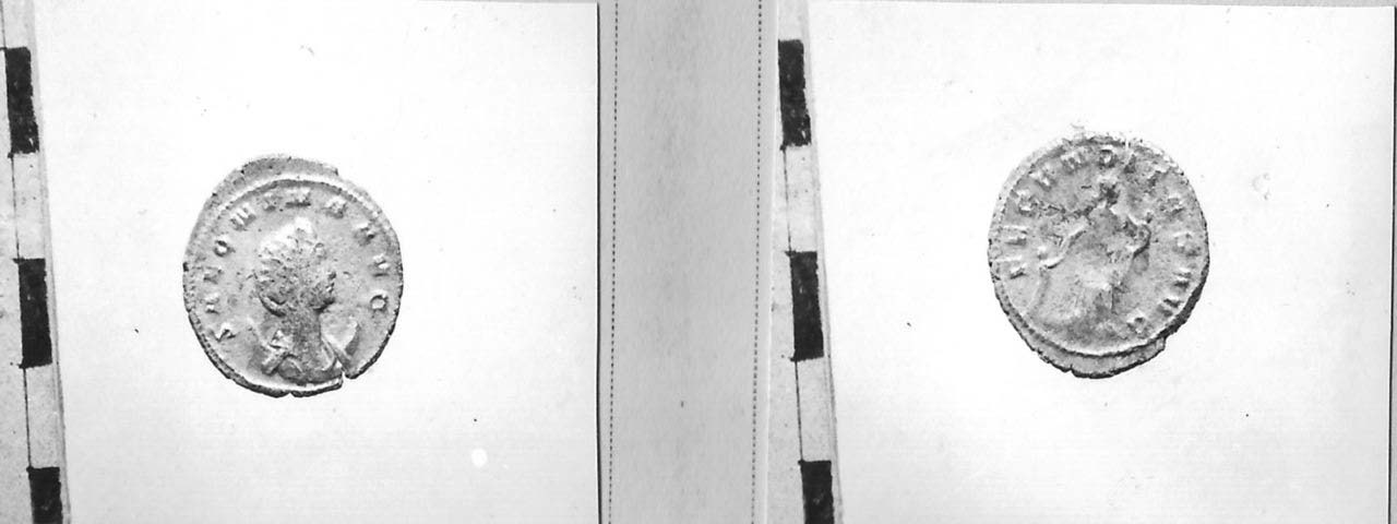 moneta - Antoniniano (III sec. d.C)