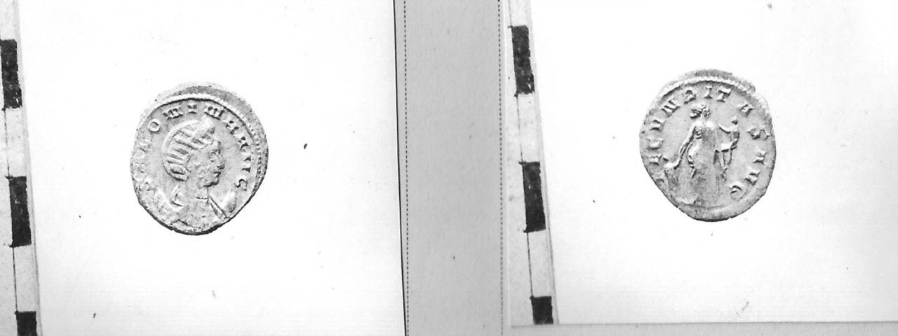 moneta - Antoniniano (III sec. d.C)