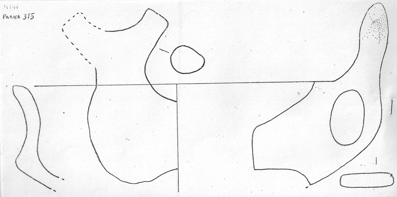 tazza - Facies Terramaricola (Età del Bronzo medio-tardo)