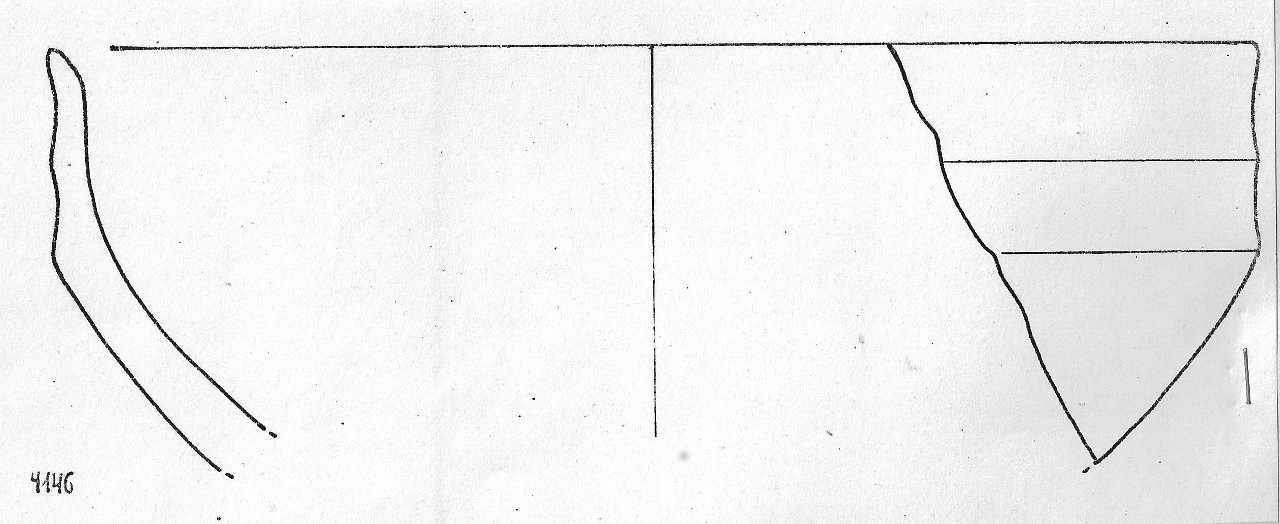 tazza - Facies Terramaricola (Età del Bronzo medio)