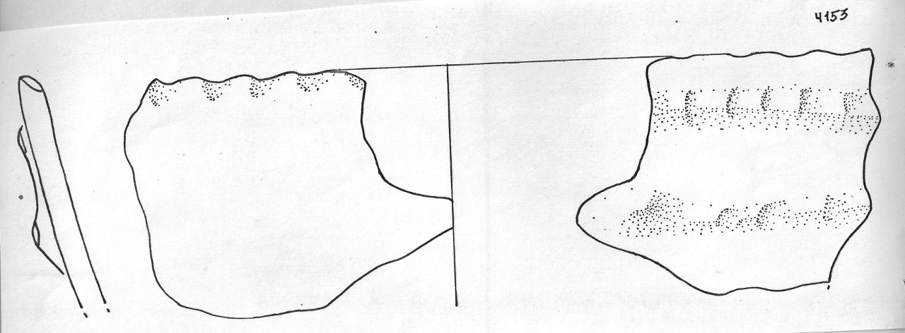 vaso - Facies Terramaricola (Età del Bronzo medio-tardo)