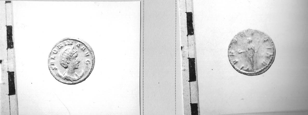 moneta - Antoniniano (III sec. d.C)