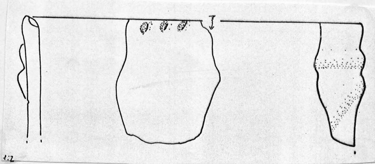 vaso - Facies Terramara (Età del bronzo)