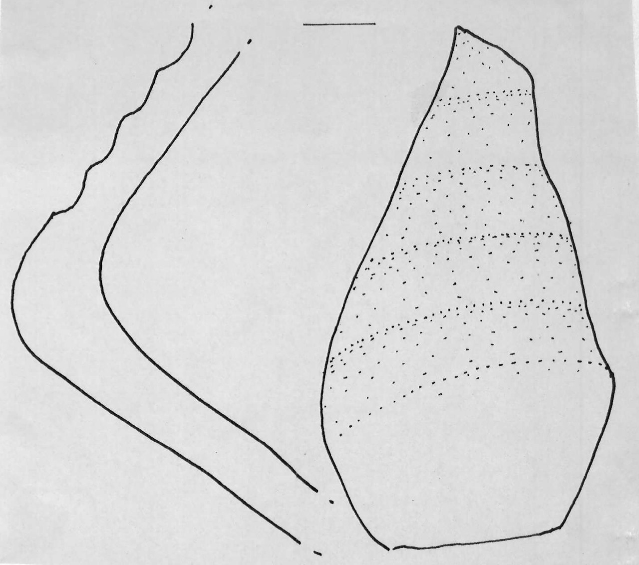 vaso - Facies Terramara (Età del bronzo)