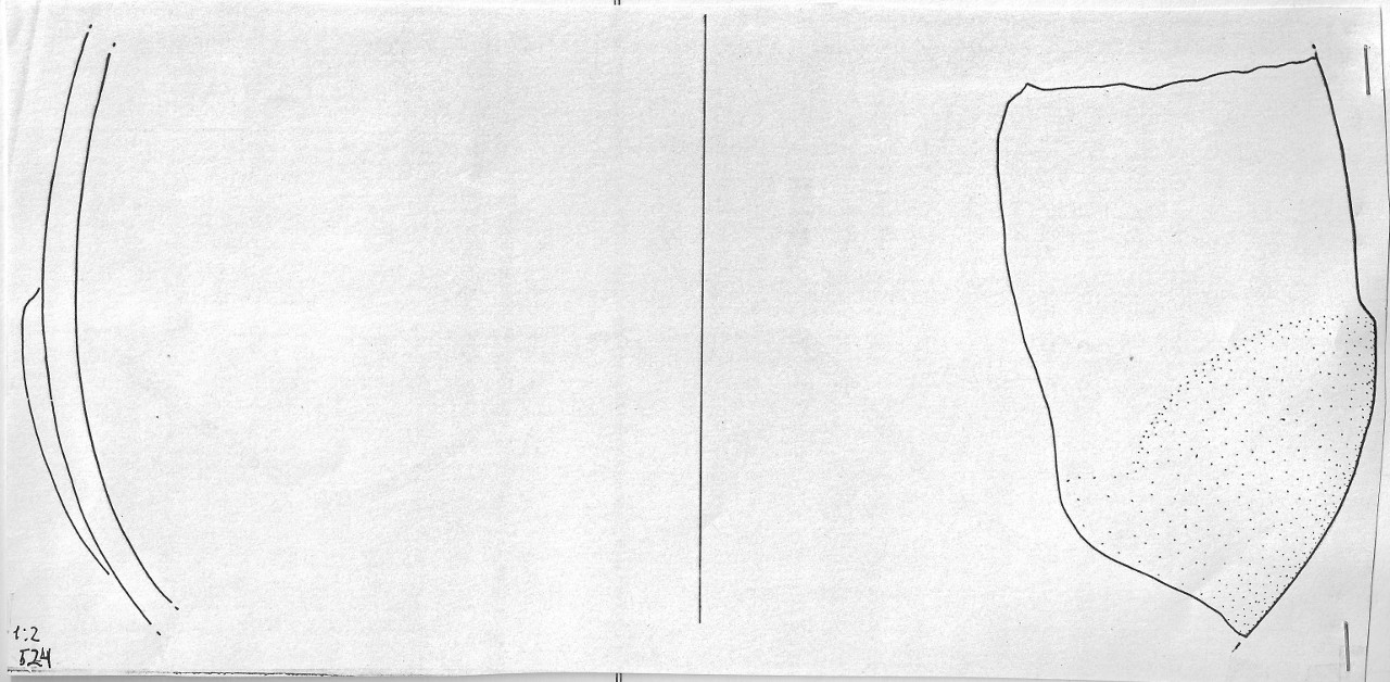 vaso - Facies Terramara (Età del bronzo)