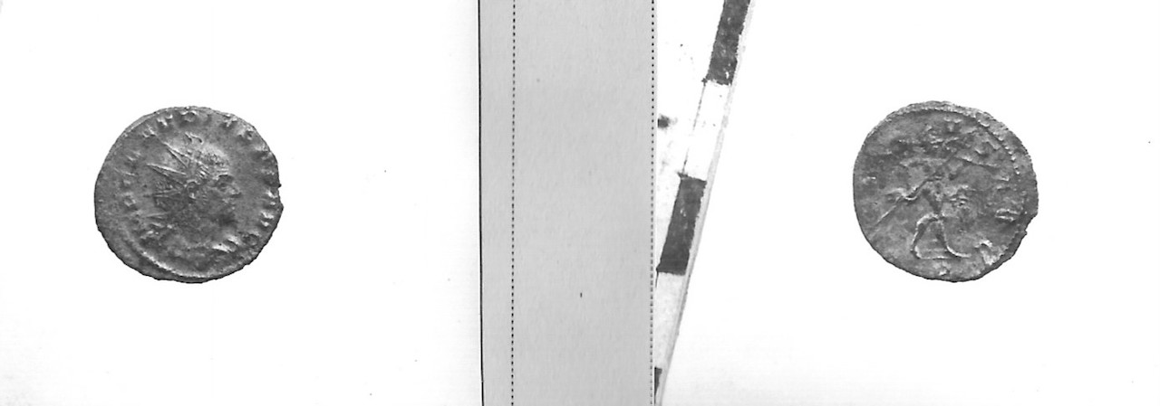 moneta - Antoniniano (III sec. d.C)