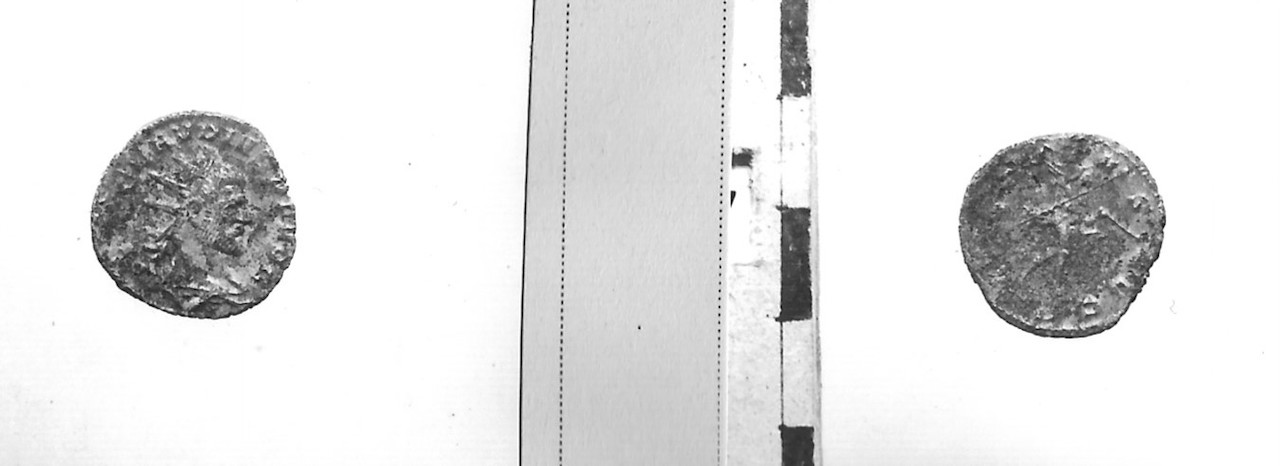 moneta - Antoniniano (III sec. d.C)