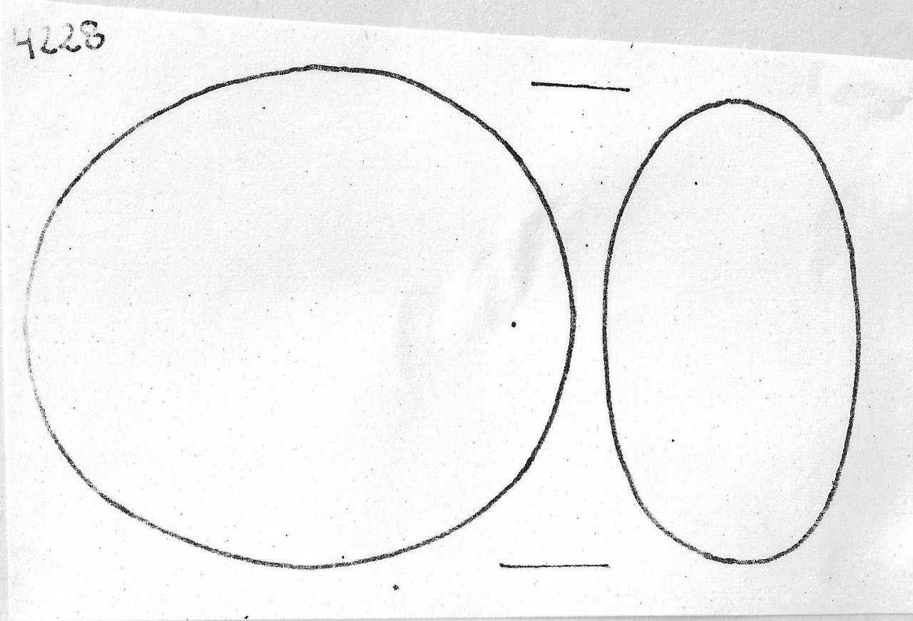 ciottolo - Facies Terramaricola (Tardo Minoico I-II)