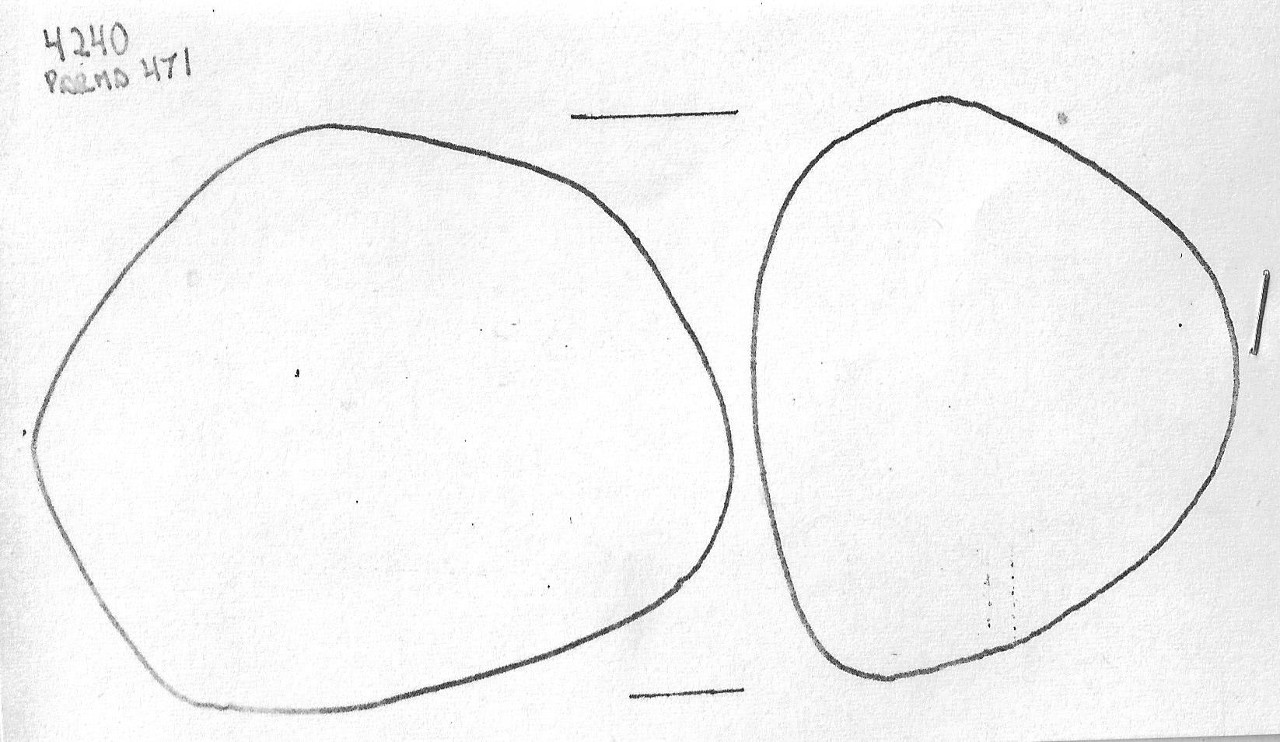 ciottolo - Facies Terramaricola (Tardo Minoico I-II)