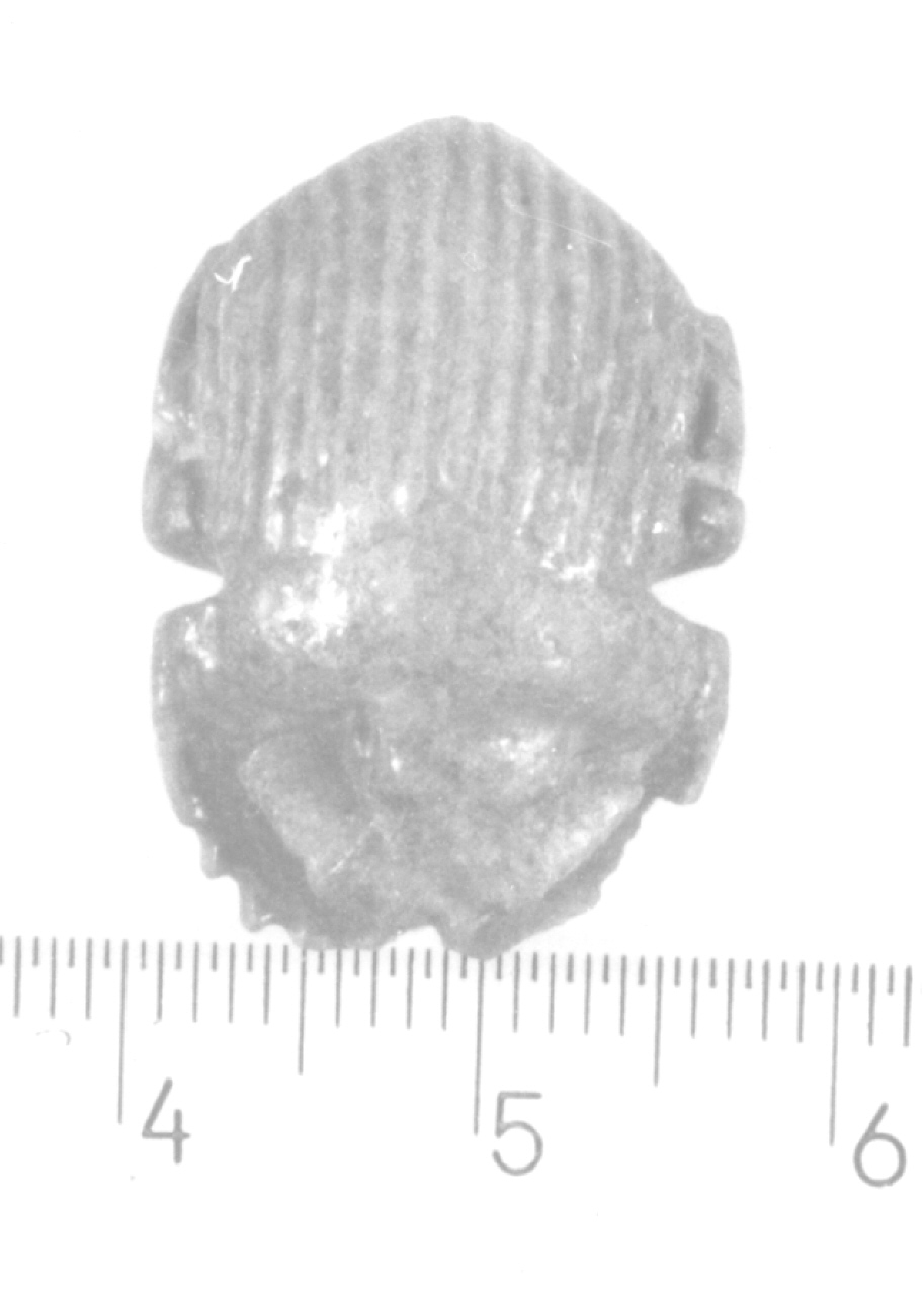 scaraboide (Nuovo Regno)