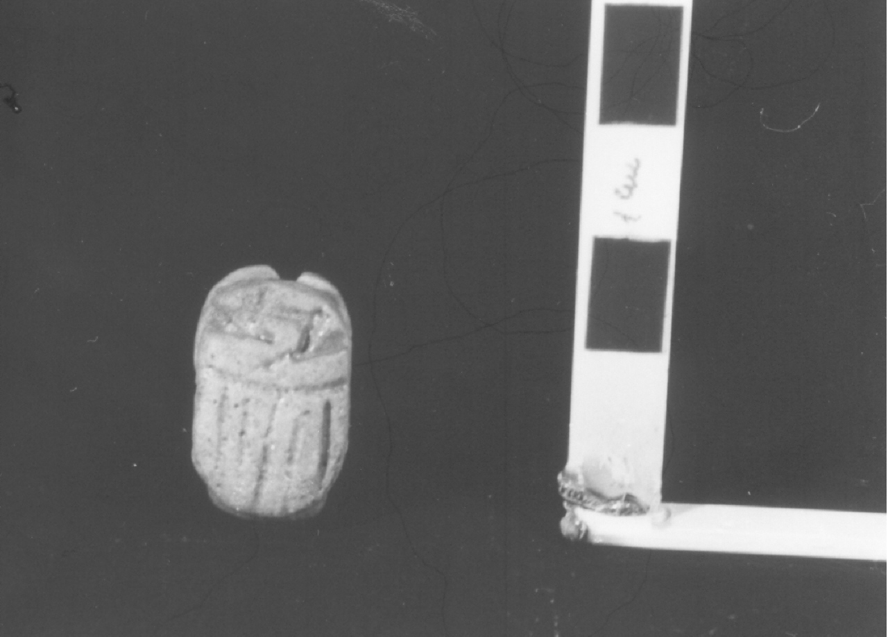 scaraboide (Nuovo Regno)