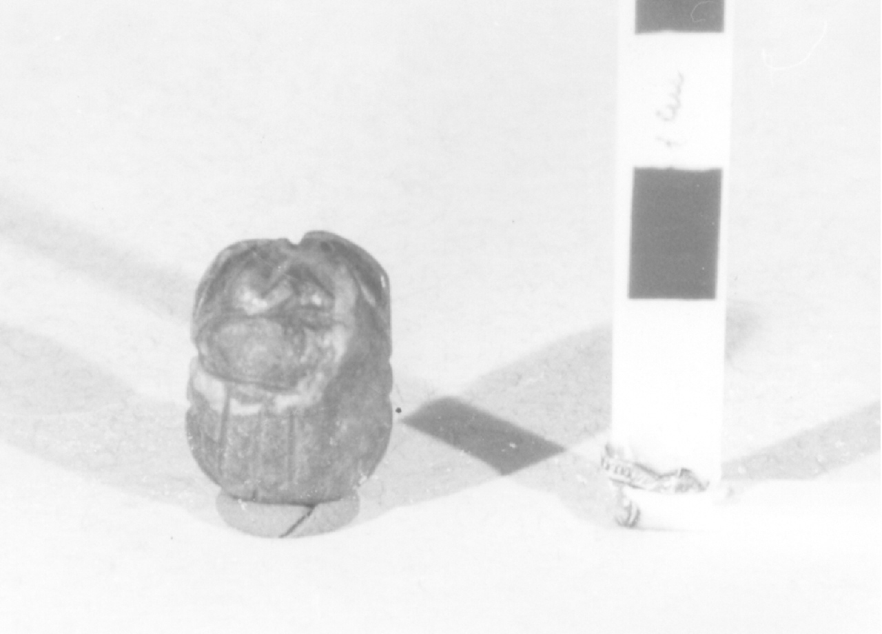 scaraboide (Nuovo Regno)