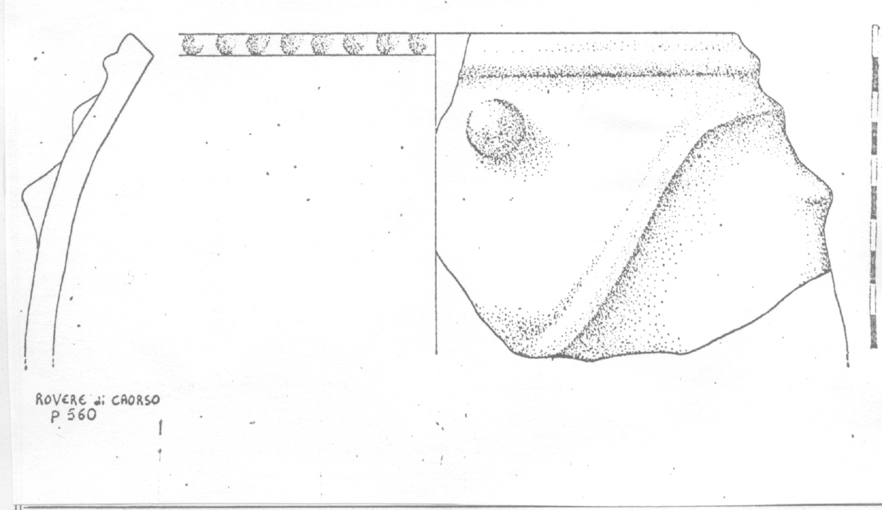 orcio - Facies terramaricola (PERIODIZZAZIONI/ Protostoria/ Eta' del Bronzo/ Eta' del Bronzo medio tardo)