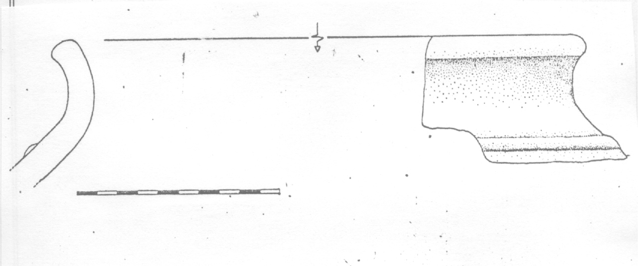 doglio - Facies terramaricola (PERIODIZZAZIONI/ Protostoria/ Eta' del Bronzo/ Eta' del Bronzo medio tardo)