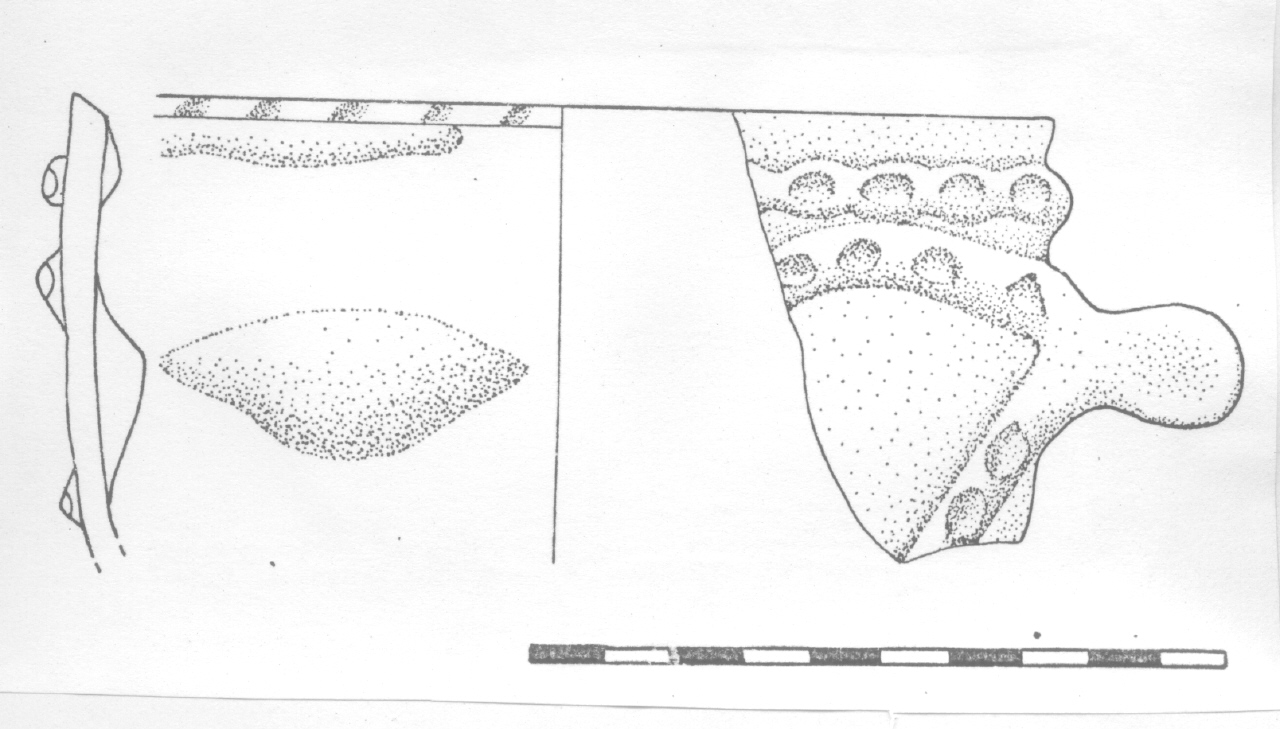 tazza - Facies terramaricola (PERIODIZZAZIONI/ Protostoria/ Eta' del Bronzo/ Eta' del Bronzo medio tardo)