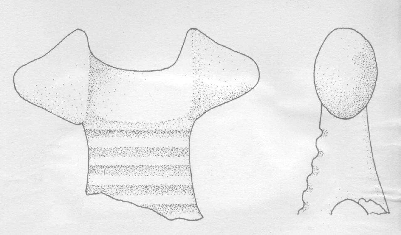 ansa - Facies Terramaricola (PERIODIZZAZIONI/ Protostoria/ Eta' del Bronzo/ Età del Bronzo medio tardo)