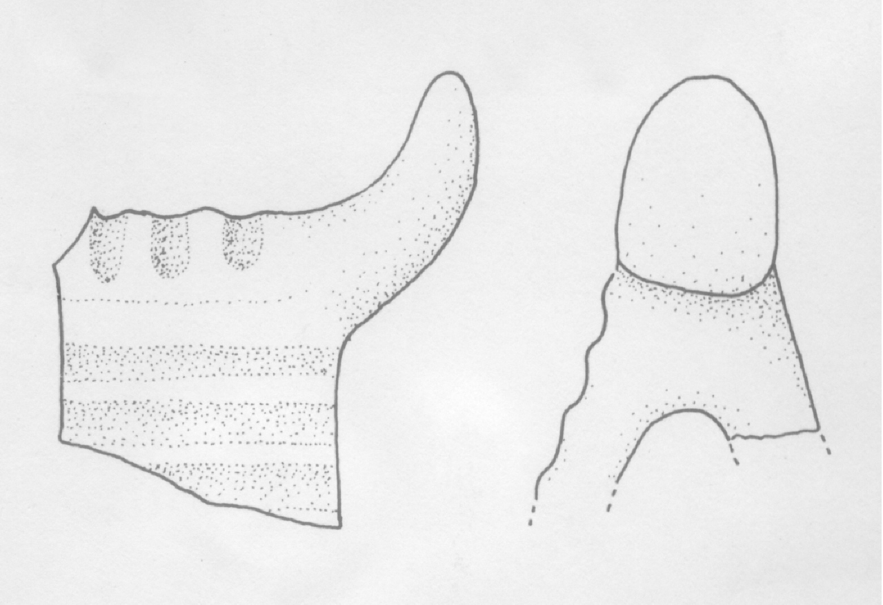 ansa - Facies Terramaricola (PERIODIZZAZIONI/ Protostoria/ Eta' del Bronzo/ Età del Bronzo medio tardo)