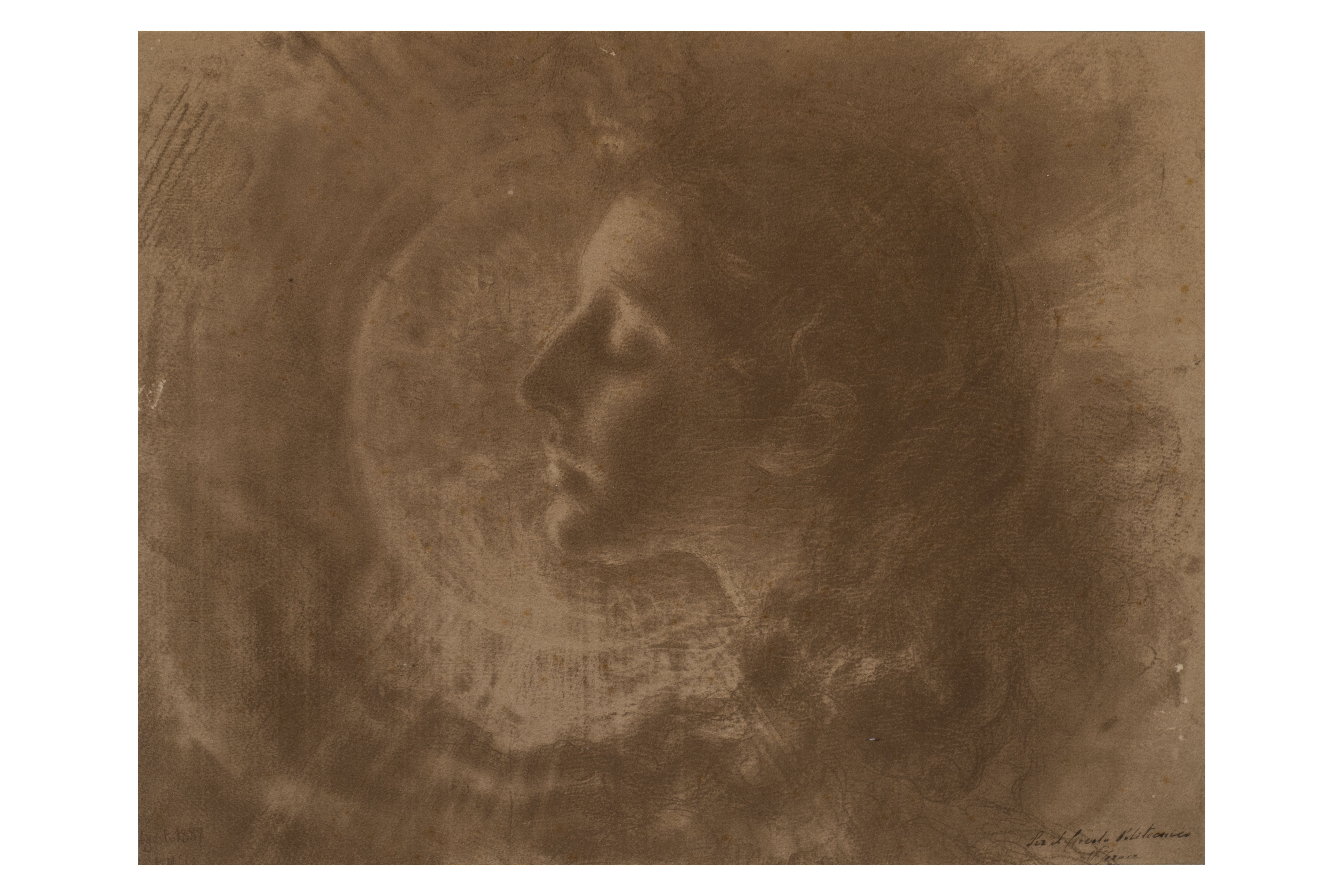 Lea (Gli amori degli angeli), Ritratto di donna (dipinto, opera isolata) di Vincenzo Jerace (attribuito) - ambito Italia meridionale (seconda metà XIX)