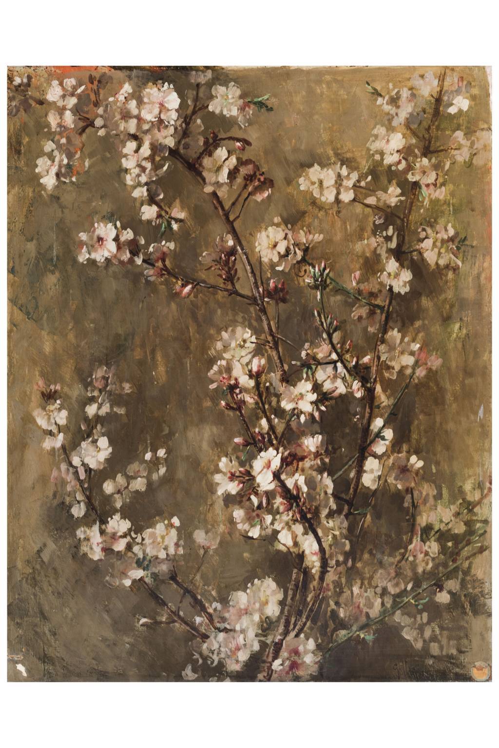 Mandorlo in fiore, Fiori (dipinto, opera isolata) di Uva, Giuseppe (attribuito) - ambito campano (prima metà XX)