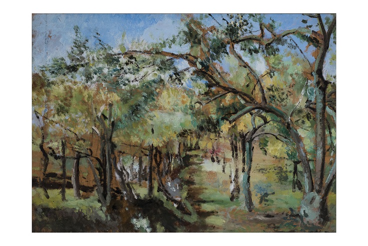 Alberi, Paesaggio (dipinto, opera isolata) di Catelli, Camillo (attribuito) (seconda metà XX)