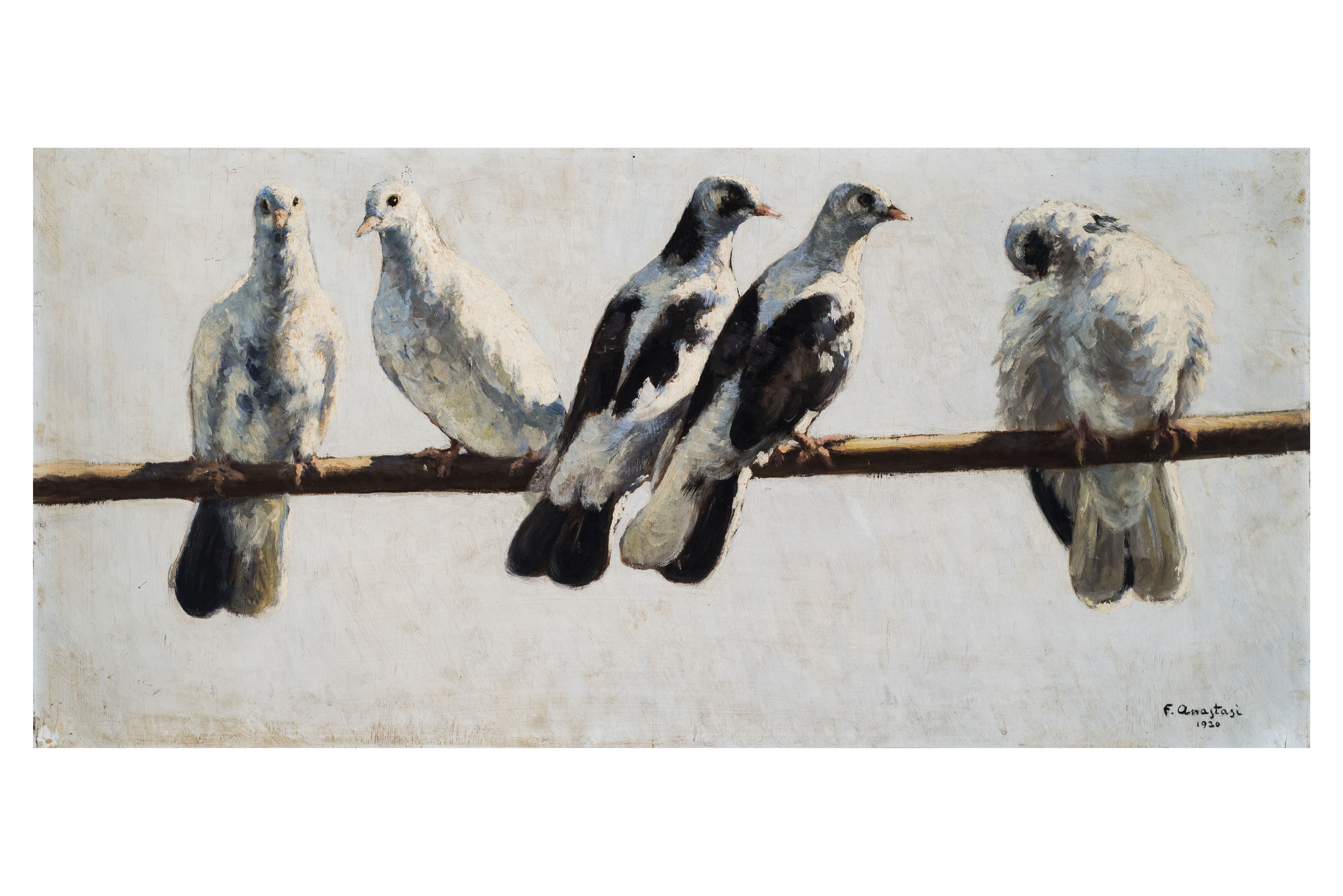 Colombi, Scena con animali (dipinto, opera isolata) di Anastasi, Francesco (attribuito) - ambito Italia meridionale (prima metà XX)