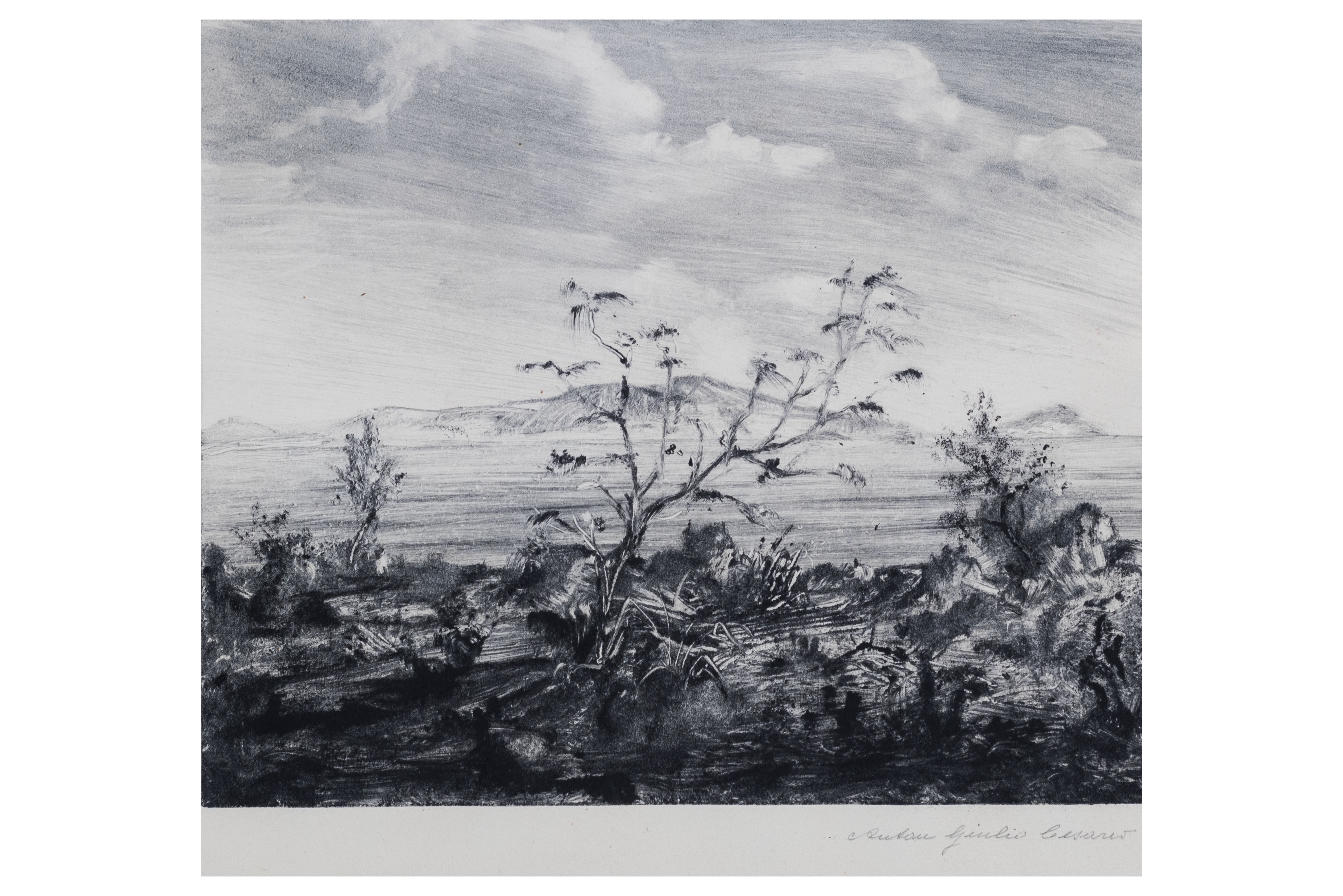 Paesaggio, Paesaggio (dipinto, opera isolata) di Anton Giulio Cesareo (attribuito) - ambito Italia meridionale (seconda metà XX)