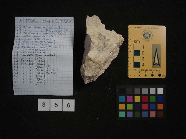 fossile (crostaceo, esemplare)