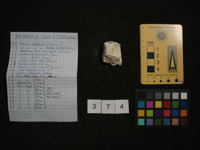 fossile (crostaceo, esemplare)