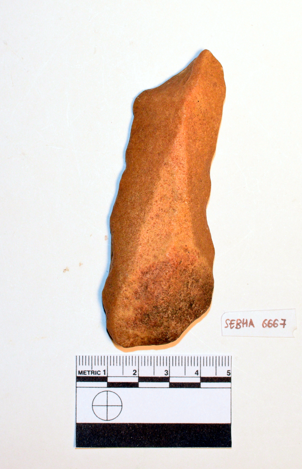 lama (Paleolitico)
