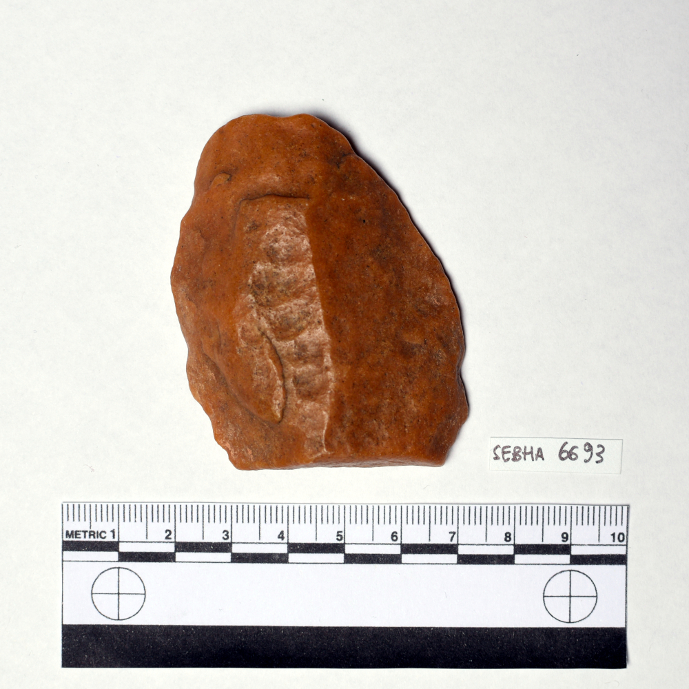 scheggia (Paleolitico)