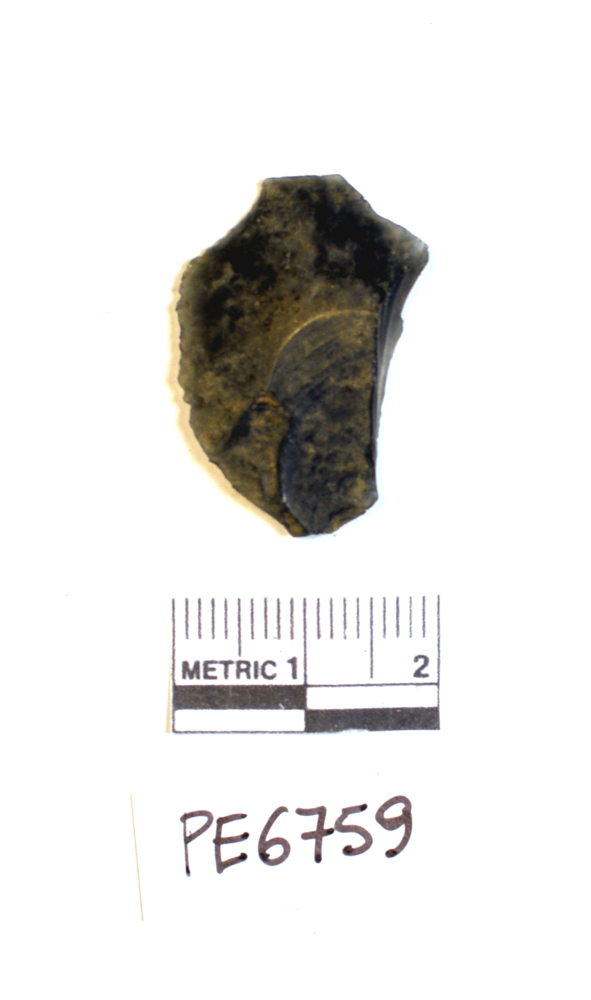 scheggia (non determinabile)